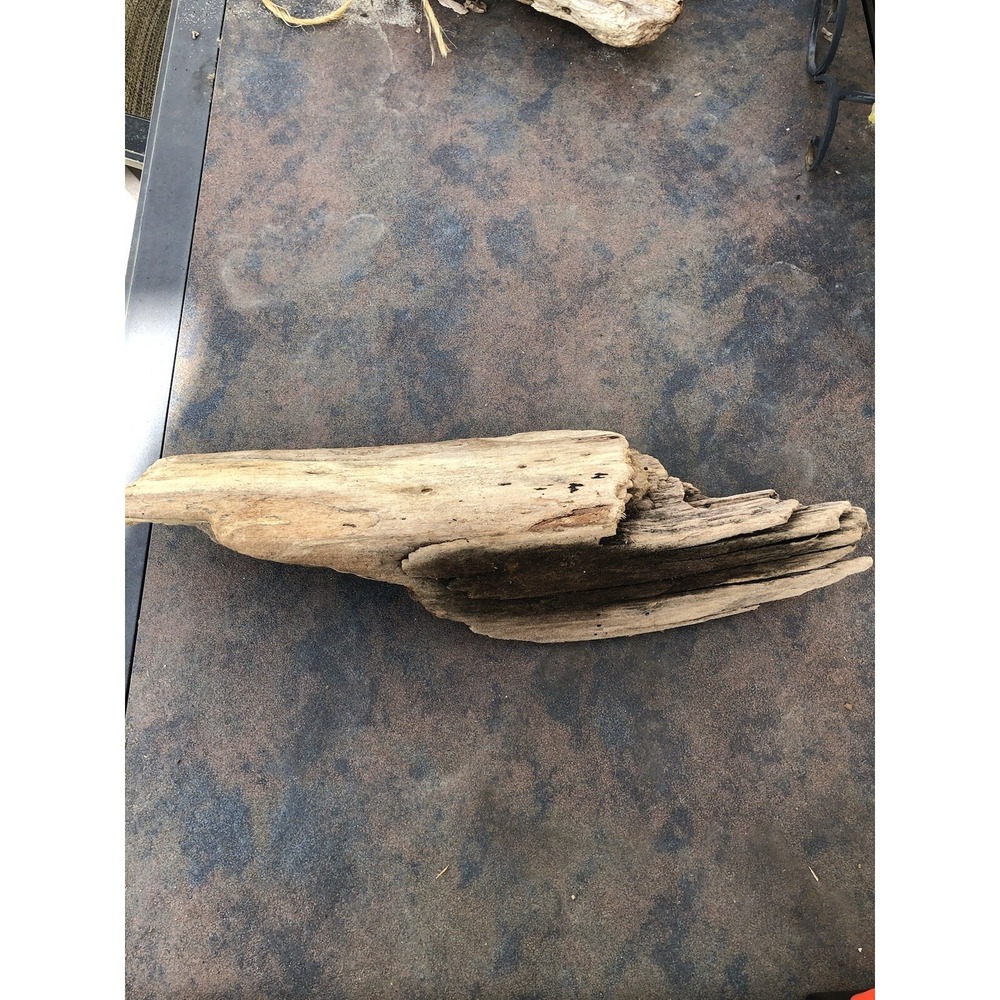Natural Driftwood for Plants Terrarium Taxidermy Art Projects